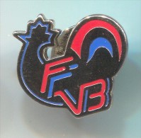 VOLLEYBALL Pallavolo - FFVB, France, Federation, Enamel, Vintage Pin, Badge - Volleyball