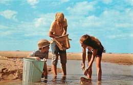 200341-Massachusetts, Nantucket, Maria Mitchell Association Natural Science Department, Children Studying Nature - Nantucket