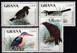 Ghana: Bronze Mannikin / African Pied Wagtail / African Pygmy Kingfisher / Yellow-billed Kite - Colecciones & Series