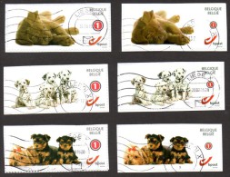 Dusostamps - Chien - Hond - Hund - Perro - Dog - Avec Différents Chiffres Valeur 1 - Met Verschillende Waarde Cijfers 1 - Used Stamps