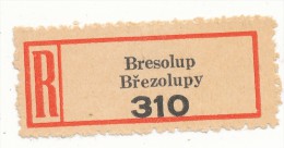 Böhmen Und Mähren / R-label: Bresolup - Brezolupy (number "310") German-Czech Text (BM1-0281) - Sonstige & Ohne Zuordnung