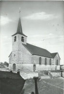 Maubray - Jolie Vue De L'Eglise St. Amand - Antoing