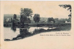 Cpa  FORET DE MEUDON  ETANG DE BRISE MICHE NET GARE DE CHAVILLE VELIZY - Viroflay