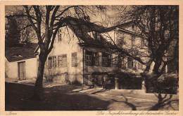 Jena, Inspektorwohnung Des Botanischen Gartens, Gingko Biloba - Jena