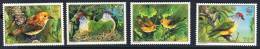COOK ISLAND, WWF, Oiseaux,  Yvert 994/97 ** Neuf Sans Charniere. MNH - Unused Stamps