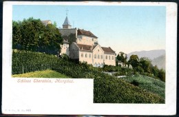 Schloss Eberstein, Murgthal, Vor 1905, Gewrnsbach, Rastatt, P & Co. M. No. 445 - Gernsbach