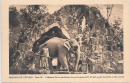 ELEPHANT - Missions De CEYLAN -  Série IX - L'éléphant Fait La Génuflexion Devant La Grotte De ND - Éléphants