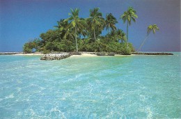 CT--N--980-- MALDIVES - THE DREAM ISLANDS - RIHIVELIBEACH RESORT - Maldives