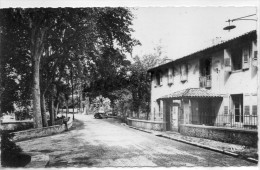 04 - GREOUX LES BAINS - L' AUBERGE DES TOURISTES - CARTE PHOTO 1966 - Gréoux-les-Bains