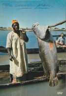 PECHE D UN CAPITAINE - Niger