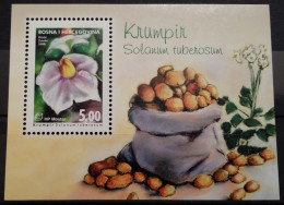 Bosnia And Hercegovina, HP Mostar, 2008 Mi: Block 16  (MNH) - Légumes