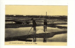 Reproduction Cpa N° Plg9 Les Marais Salants Récolte Du Sel - Fischerei