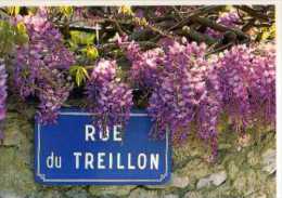 26 BUIS LES BARONNIES Rue Du Treillon, Photo Yves Le Bosser, Glycine - Buis-les-Baronnies