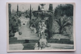 RUSSIA, Sochi Garden Main Stairs  - Old Vintage Postcard  - 1930s - Trees