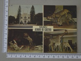 MUSEU ALVARO DE CASTRO - LOURENÇO MARQUES - 2 SCANS (Nº13586) - Mozambique
