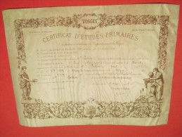 Certificat D'Etudes Primaires/ Département Des Vosges /Ecole De GRUEY/Epinal / Paul LUTIN/ Gentil/1903      DIP116 - Diplome Und Schulzeugnisse