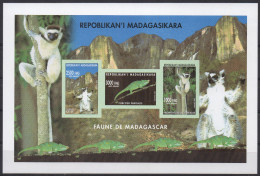 Madagascar Madagaskar 2002 Mi. 2590/2591/2592 Faune Fauna Lemur Catta Lemurien Animals S/S IMPERF Bloc Block RARE ! - Andere & Zonder Classificatie