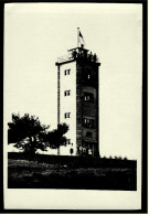Ein Turm / Aussichtsturm  -  Freistehend  -  Ansichtskarte Ca. 1960    (5561) - Zu Identifizieren