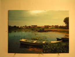 St Philbert De Grand Lieu - Le Lac De Grand Lieu - Saint-Philbert-de-Grand-Lieu