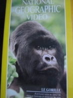 National Geographic Video: Le Gorille Par Barbara Jampel (cassette VHS) - Documentaires