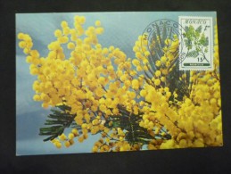 Carte Maximum Mimosa 16/051959 - Storia Postale