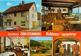3490 BAD DRIBURG - KÜHLSEN, Gasthof "Zum Steinberg" - Bad Driburg