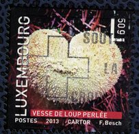 Luxembourg 2013 Oblitéré Used Champignon Lycoperdon Perlatum Vesse De Loup Perlée - Gebruikt
