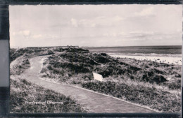 Nordseebad Langeoog - Partie Auf Dem Deich - Langeoog