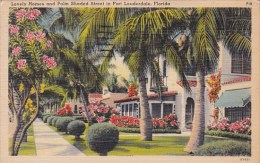 Florida Fort Lauderdale Lovely Homes And Palm Shaded Street In Fort Lauderdale 1950 - Fort Lauderdale