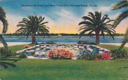 Florida Daytona Beach Beautiful Lily Pond And River Front Park 1955 - Daytona