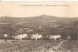 Saint Honoré Les Bains Vieille Montagne Et Le Labourage - Saint-Honoré-les-Bains