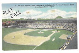 D12810  -  Offerman Stadium - Home Grounds Of Yhe Buffalo NEW YORK "Bison" Baseball Team - Baseball