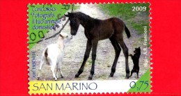 SAN MARINO - Usato - 2009 - Concorso: "Fotografa Il Tuo Animale Domestico" - Cane - Capra - Cavallo - Puledro - 0.75 - Usados