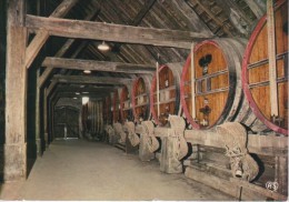 CHENOVE : Dans Cette Cave Se Trouve Le Pressoir Des Ducs De Bourgogne (XIIIe Siècle) - Chenove