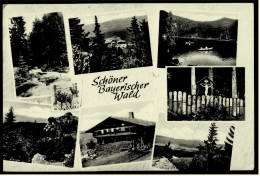 Bayerischer Wald  -  Mehrbild-Ansichtskarte Ca. 1971    (5539) - Cham