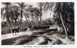 Delcampe - Biskra. Route De Touggourt - Biskra