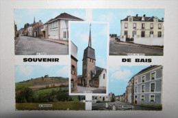 53 : Souvenir De Bais   ( Multivues ) - Bais