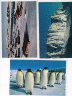 CHINE 1999  Trois CP Expédition Polaire Arctique 1999.7.1 - Chinese National Arctic Research Expedition - Expediciones árticas