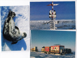 CHINE 1999  Trois CP Expédition Polaire Arctique 1999.7.1 - Chinese National Arctic Research Expedition - Expéditions Arctiques