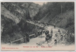 HELMKEHR VON DER ALP  RETOUR DU BETAIL - Elm