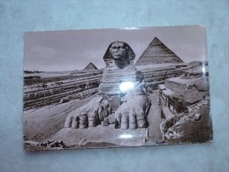 Egypte Sphinx De Gizet Et Pyramide - Gizeh