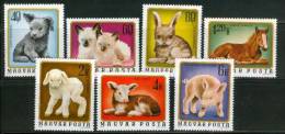 HUNGARY - 1974.Young Animals Cpl.Set  Mi:3007-3013. MNH!!! 4.00EUR - Nuevos