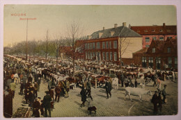 CPA Hoorn Beestenmarkt - Couleur - DW01 - Hoorn