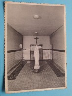 Zusters "' KINDSHEID JEZUS " Kliniek En Moederhuis Maria Middelares () Anno 1957 ( Zie Foto Voor Details ) !! - Lommel