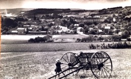 # Precy Sur Oise - Vue Générale - Précy-sur-Oise