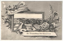 93 - TREMBLAY-LES-GONESSE - Souvenir De Tremblay-lès-Gonesse - Tremblay En France