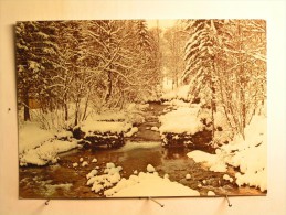 Le Torrent En Hiver - Ecrite à Bellevaux - Bellevaux