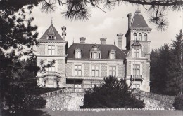 Reichenau - Schloss Wartholz 1964 - Raxgebiet