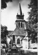 37 - Le Grand Pressigny : L' Eglise - Le Grand-Pressigny