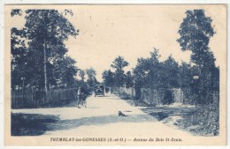 93 - TREMBLAY-LES-GONESSE - Avenue Du Bois St-Denis - Tremblay En France